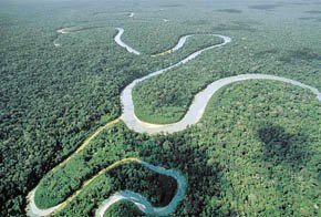 Amazonas